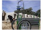 Calf Cart - Scale