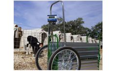 Calf Cart - Scale
