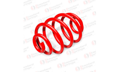 Standart-Yay - Springs for Brake Chamber
