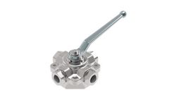 Pister - Multi-Way Ball Valves