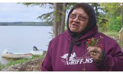 WBEA Fort McKay Berry Focus Group Video Dene Translation November 2014 - Video