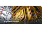Plug and Abandonment Services