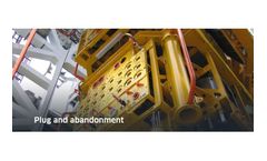 Plug and Abandonment Services