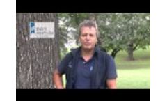 Dairy Moving Forward (DMF) Program Overview Video