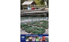 In-Situ Remediation of Arsenic-Contaminated Sites