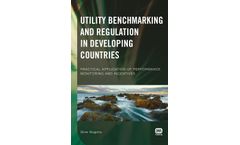 Utility Benchmarking and Regulation in Developing Countries