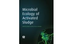 Microbial Ecology of Activated Sludge