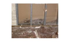 Mold Mitigation Services