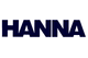 Hanna Steel Corporation