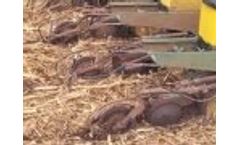 Planter N Forcer Video