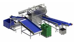 Cauliflower & Broccoli Processing Line