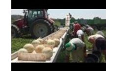 Three Point Harvesting Belt - Sweere - Video