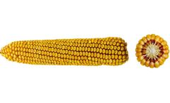 OSEVA - Model CEBIR 240 - Silage