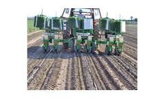 Sfoggia - Model F12 - C12 - Half Automatic Transplanter
