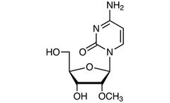TCI - Model M2317 - 2`-O-Methylcytidine