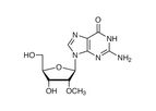 TCI - Model M2318 - 2`-O-Methylguanosine