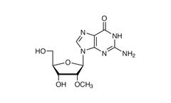 TCI - Model M2318 - 2`-O-Methylguanosine