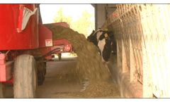 Jaylor: Welcome to TMR Mixer Feeding - Video