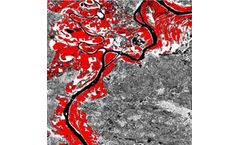 ENVI - Image Analysis Software