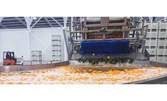 Sorma - Leaf Removing Grid Machine