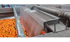 Sorma - Fungicide System