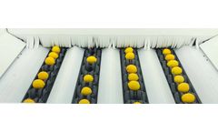 Sorma - Optical Fruit and Vegetable Sorting Machine
