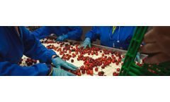 Sorma - Manual Presorting Table for Fruit Inspection