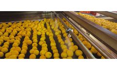 Sorma - Product Polishing System