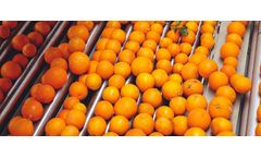 Sorma - Model CR1-104 - Mechanical Presorting Table