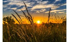 Farm-Journal - Market Insights Research Service