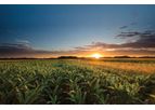Farm-Journal - Precision Reach Service