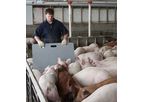 Lundell - Livestock Sorting Panels