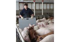 Lundell - Livestock Sorting Panels