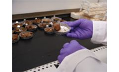 iATL - Soil, Sediment, Vermiculite and Erionite Services