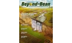 Beyond the Bean Magazine