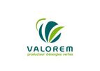 Valorem Services