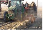 Parma - Onion Sack Loader