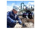 Inspection Plans Services