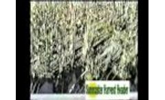 Sunmaster Harvest Header Video