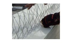 Bird Spikes Services