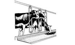 Roth Loyal - Poly Liner