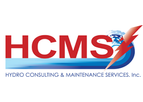 Consulting Services