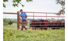 Tarter - American Gate