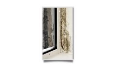 Mold Surveys