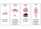 Joanneum Research - Clinical In-Vivo Models