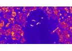 Joanneum Research - Scratch Assays for Cell Migration Analysis
