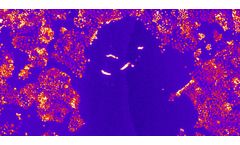 Joanneum Research - Scratch Assays for Cell Migration Analysis