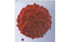 Tissue Homogenizers – Sample preparation for Cancer research