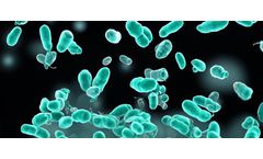 Coriolis Micro and Maxwell RSC: A Study on Airborne Pathogen Detection Efficiency