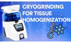 The key steps of cryogrinding with Precellys and Cryolys Evolution